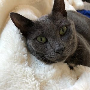 Meet your Posher, Laura